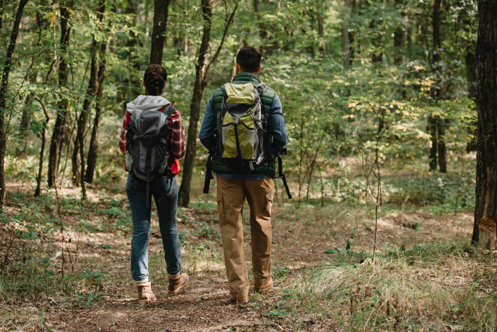 O que é ecoturismo melhores praticas e cuidados