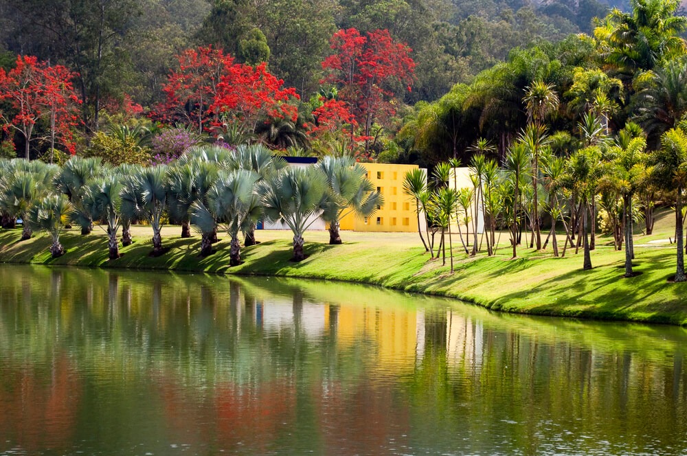 Lagoa em brumadinho